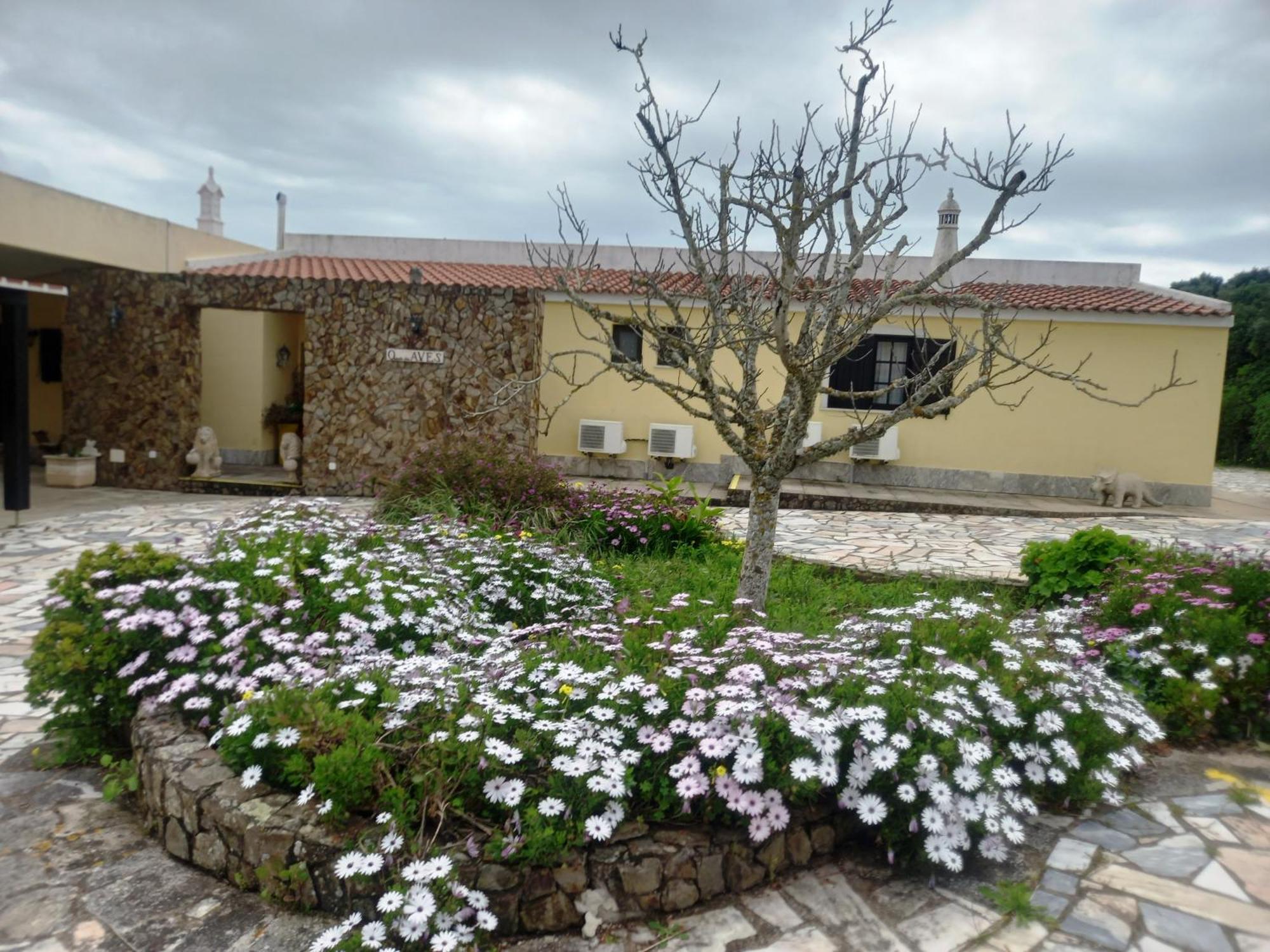 Quinta Das Aves Konuk evi Lagos Dış mekan fotoğraf